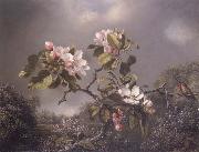 Apple Blosoms and Hummingbird Martin Johnson Heade